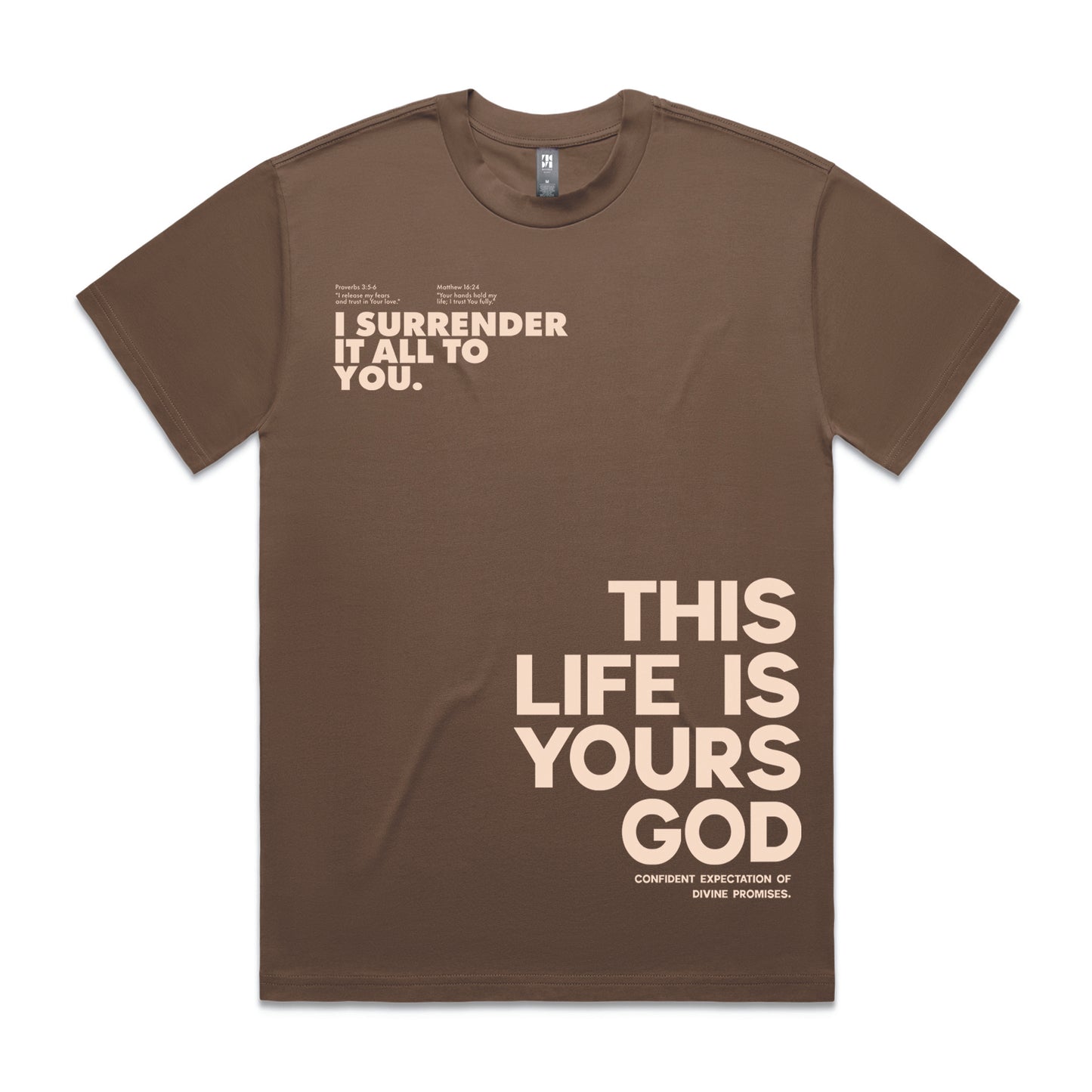 Men's Heavy Tee Oversized This life is yours God