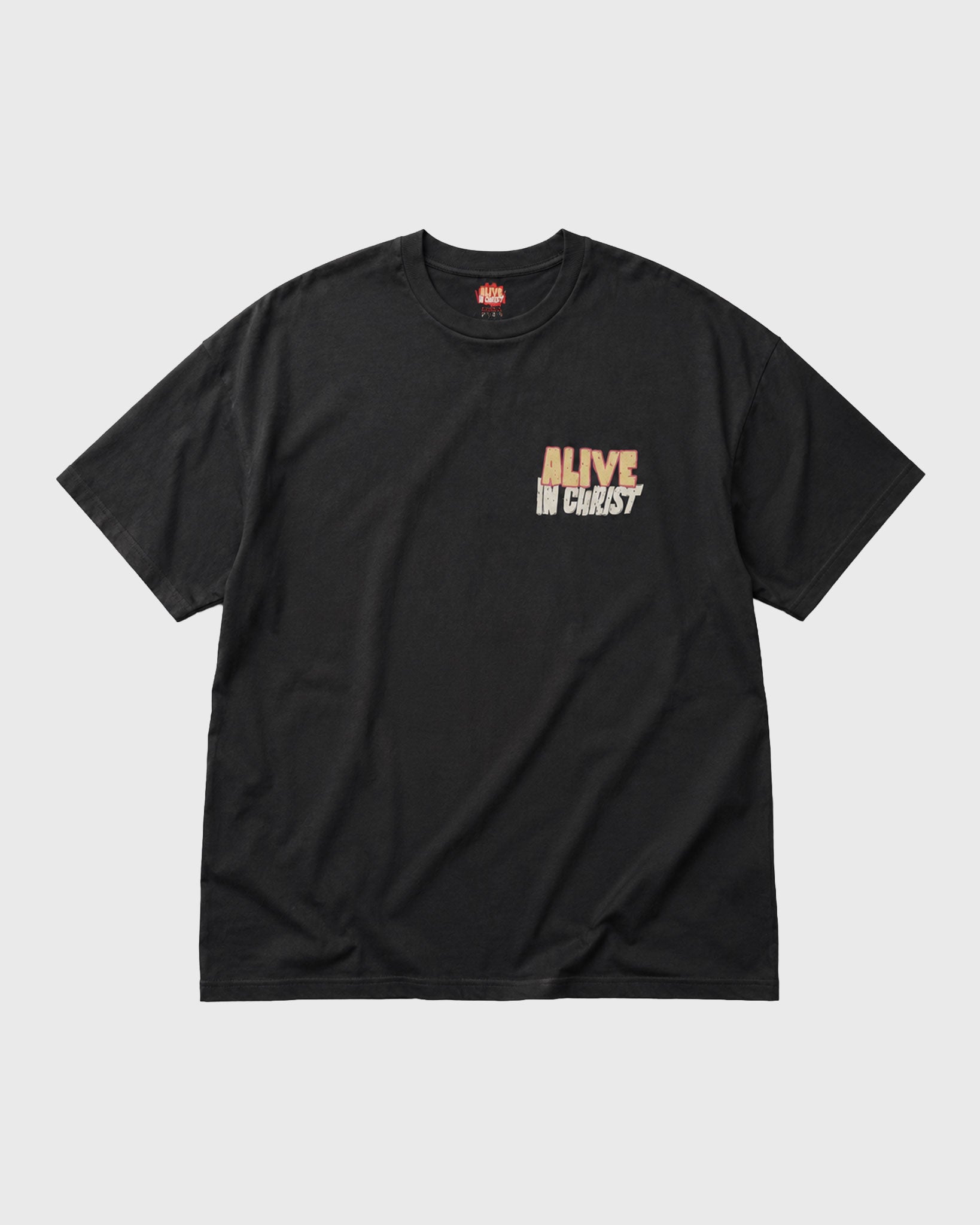 Classic Oversized Alive in Christ