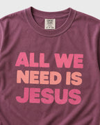 All we need is Jesus Women's T- Shirt