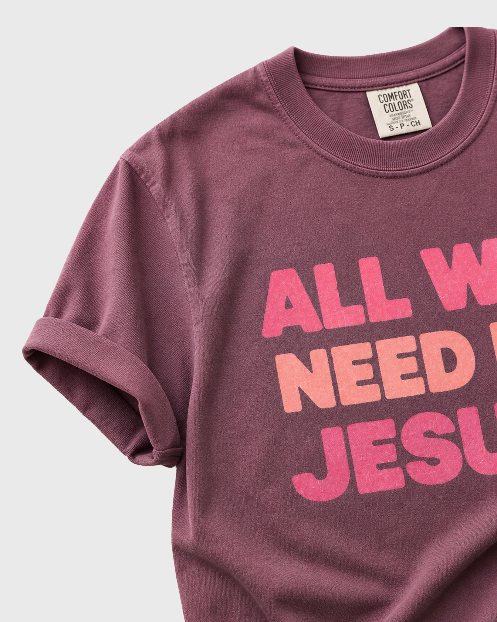 All we need is Jesus Women's T- Shirt