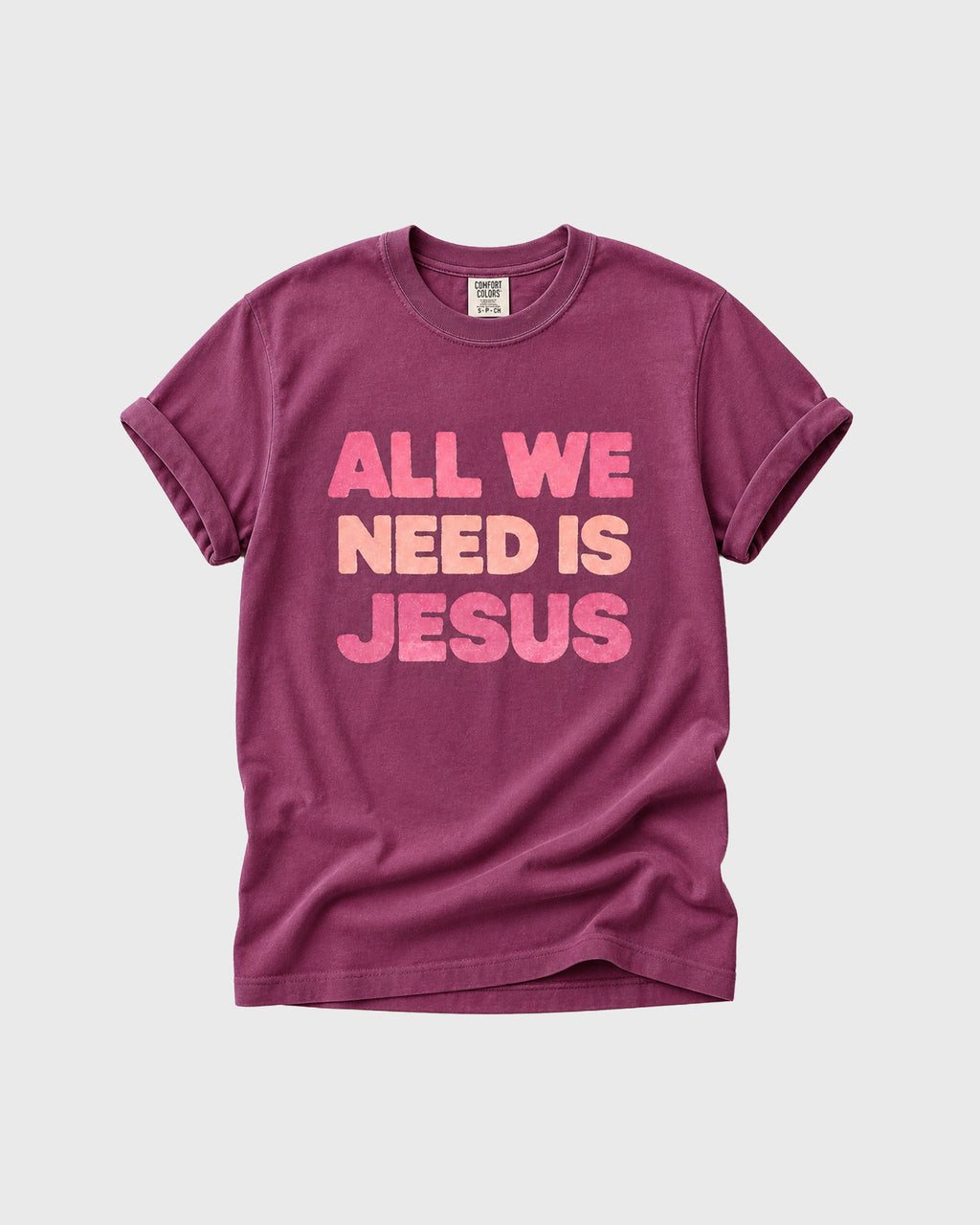 All we need is Jesus Women's T- Shirt