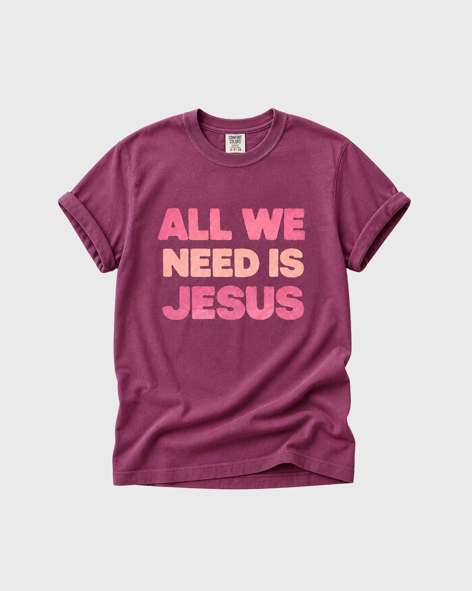 All we need is Jesus Women's T- Shirt
