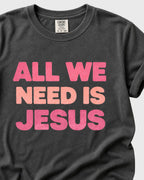 All we need is Jesus Women's T- Shirt