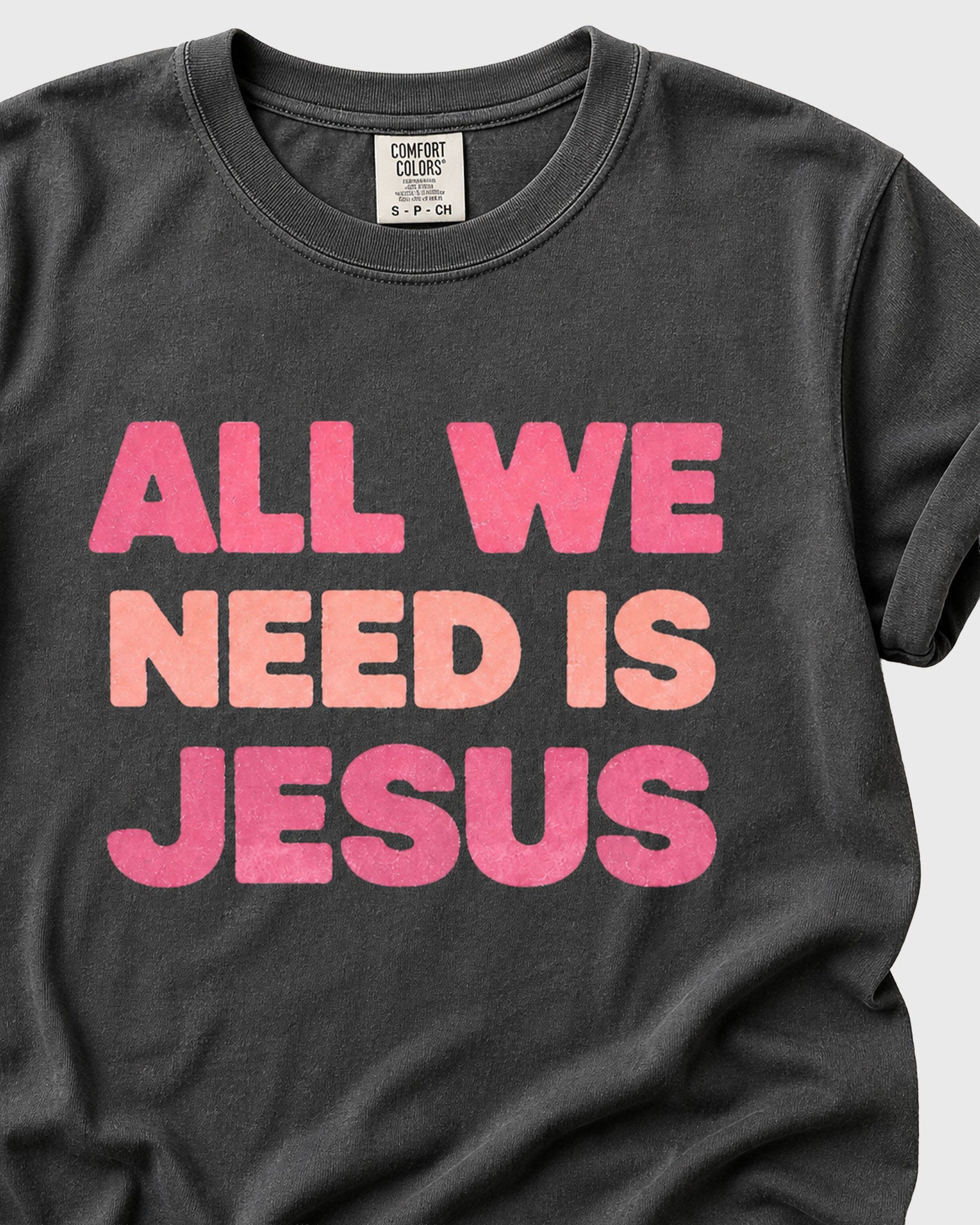 All we need is Jesus Women's T- Shirt