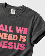 All we need is Jesus Women's T- Shirt