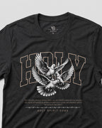 Holy Sprit Come!