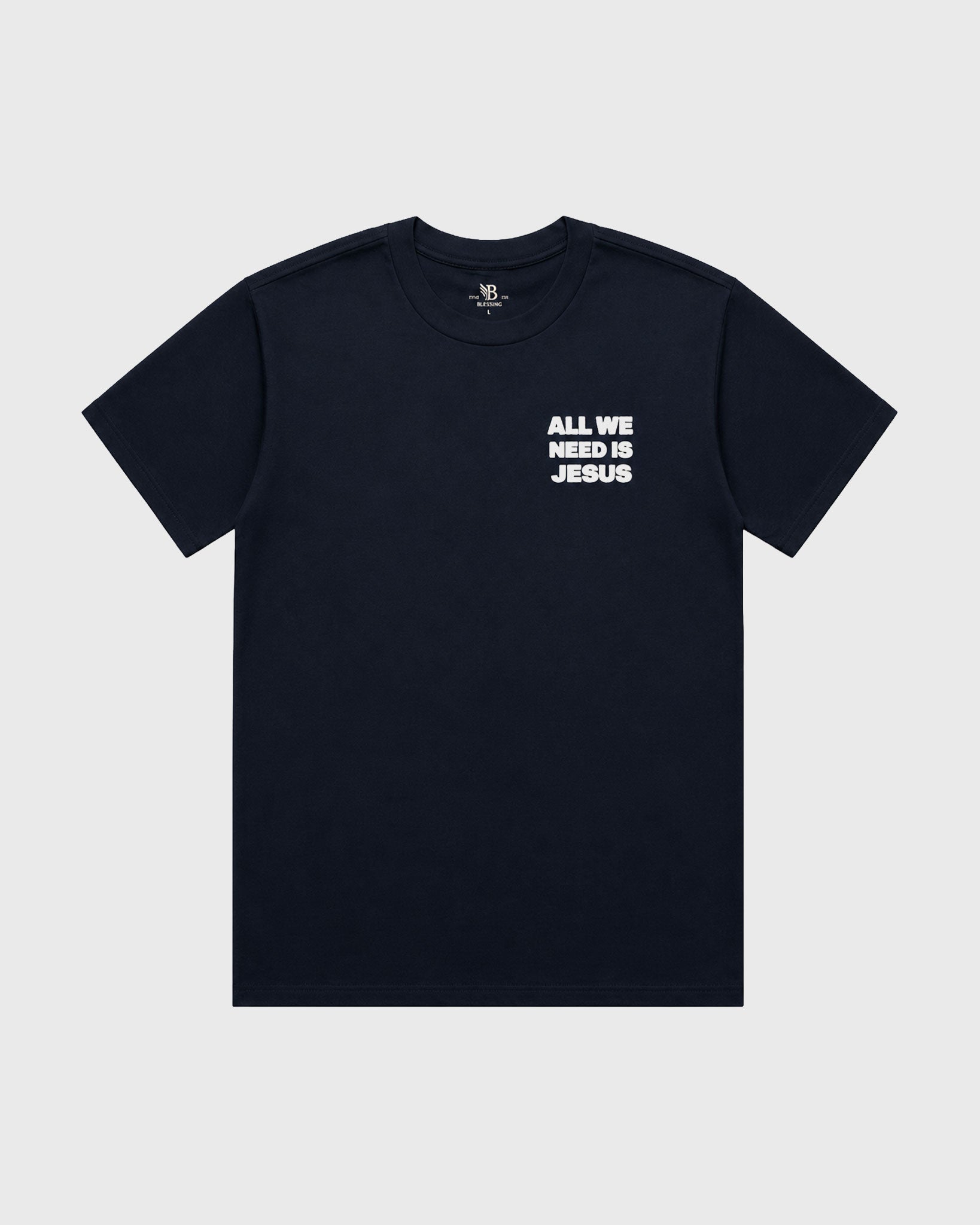 Men's Heavy All we need is Jesus